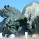 Der Aszendent Stier