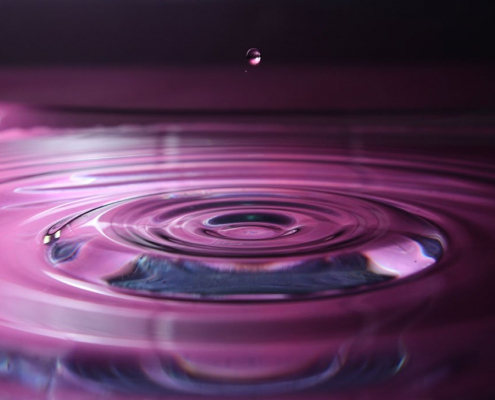 Die Farben des Lebens: Violett