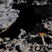  Edelsteine und ihre Wirkung: Der Obsidian