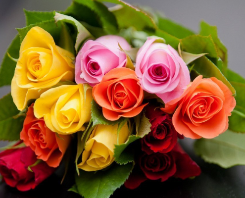 Die Farbe der Rose und ihre Bedeutung