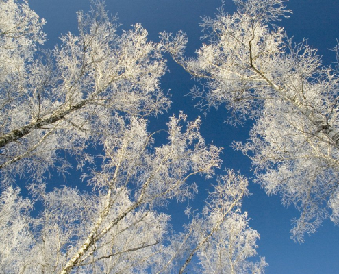 Glückliche Winterzeit mit Ayurveda