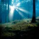 Zurück zur Natur in der Natur